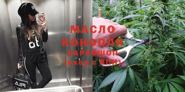 индика Алексин