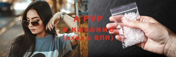индика Алексин