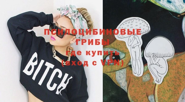 амф Алексеевка