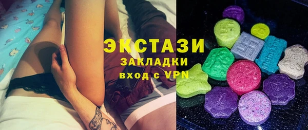 индика Алексин