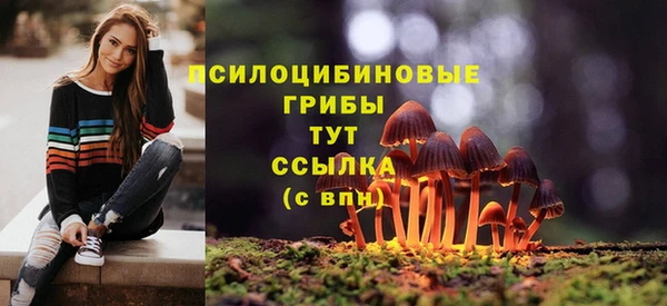 дживик Алзамай