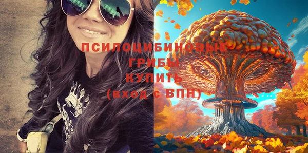 амф Алексеевка