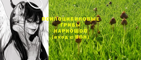 индика Алексин