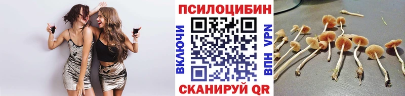Галлюциногенные грибы GOLDEN TEACHER  Медынь 
